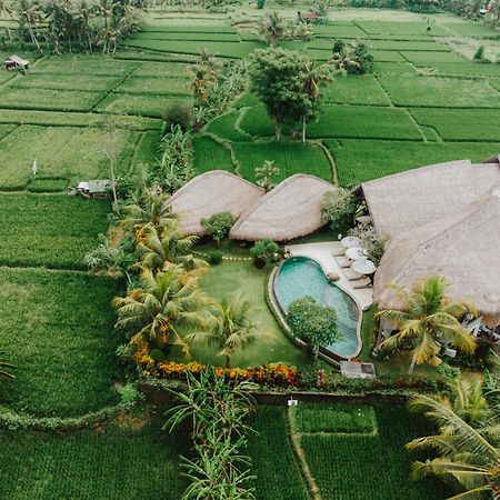 Villa Omah Padi Ubud 外观 照片