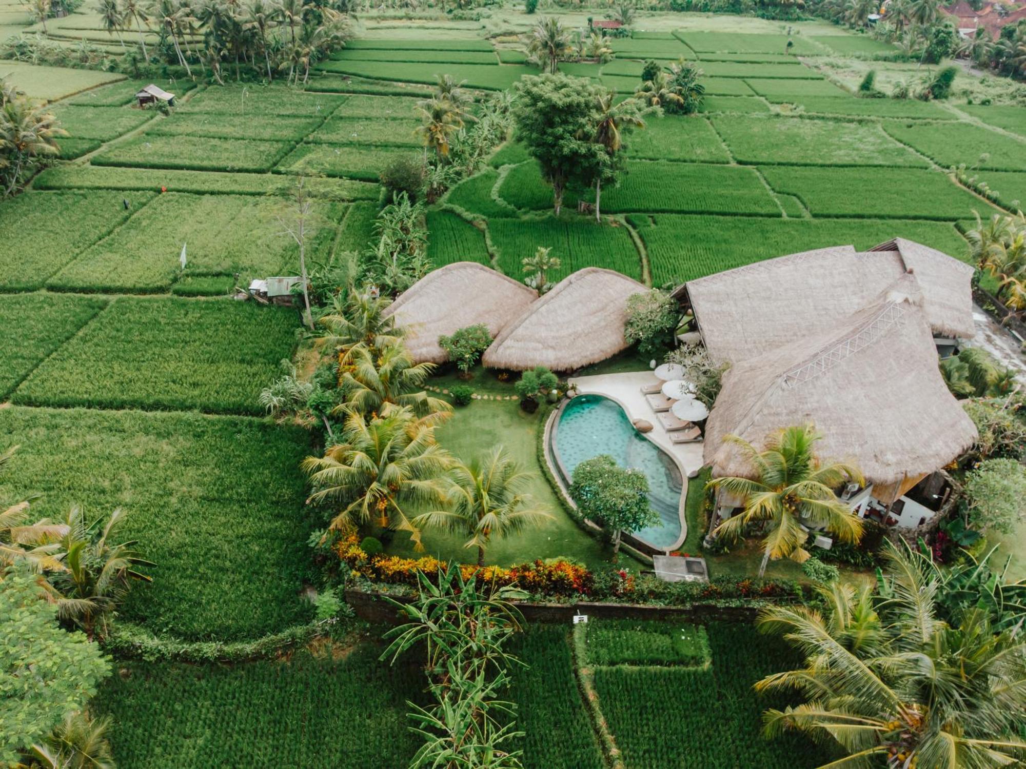 Villa Omah Padi Ubud 外观 照片